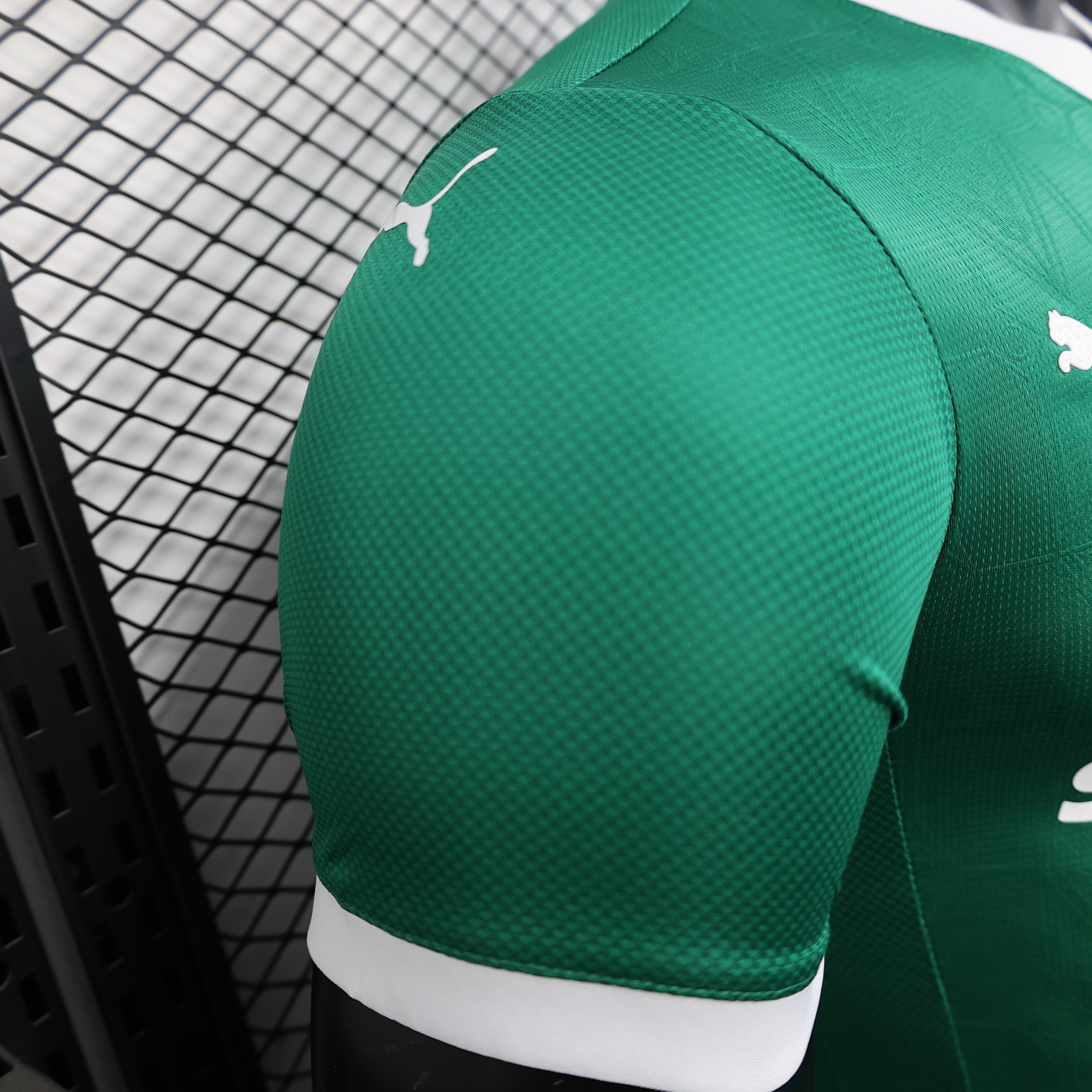 Palmeiras Casa 25/26 - Versione Giocatore